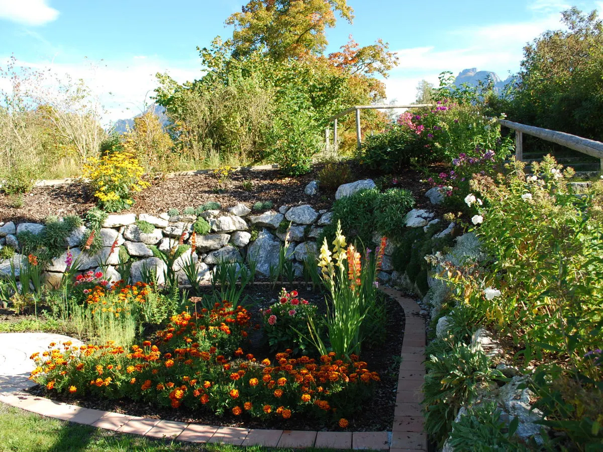 Blumenbeete mit Studentenblumen und Kalksteinen im Garten